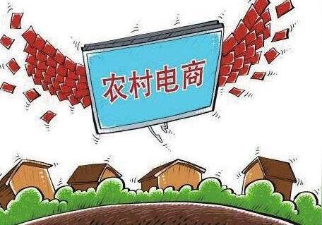 打工仔放弃白领生活返乡创业,做蔬菜生意,月交易额达200万