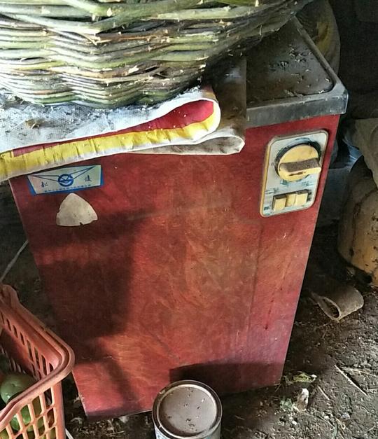 二手洗衣机单筒单缸洗衣机八十年代老物件怀旧收藏影视道具可用