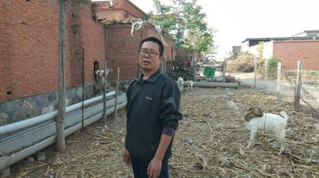农村小哥为啥要给羊群建个空调屋?算算花了近5千元，有必要么?