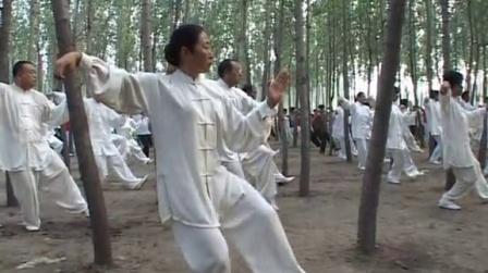 府内派太极拳卢淑惠