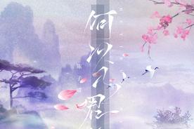 何以入君心(陈子晴)