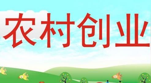 十大农村传统的创业项目