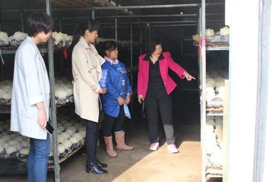 河口区妇联到巾帼创业基地和种子项目调研