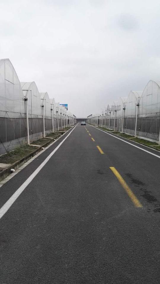 壁纸道路高速高速公路公路桌面640_1139竖版竖屏手机