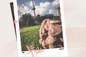 毕业(TF家族/TF家族-张泽禹)