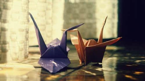 关于自作多情的伤感说说带图片