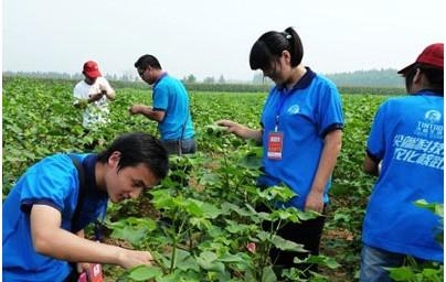 别再出去打工了,看完这些你会爱上农村创业!