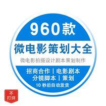 剧本策划制作方案招商合作微电影拍摄设计文案素材电影脚本分镜头