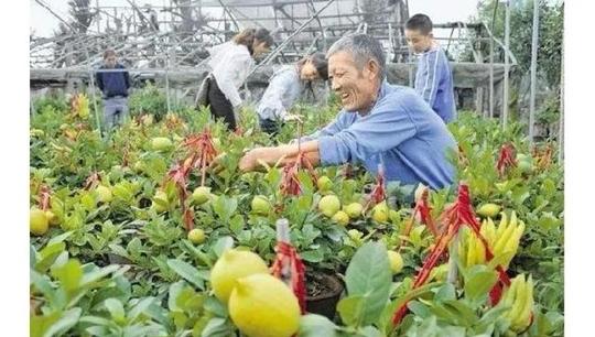 水果批发赚钱方法(卖水果应该怎么做销售)