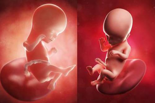 怀孕几个月才出现胎动，胎动什么时候最厉害