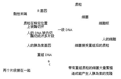 胰高血糖素(肾上腺素答或不答都给分)线粒体(3