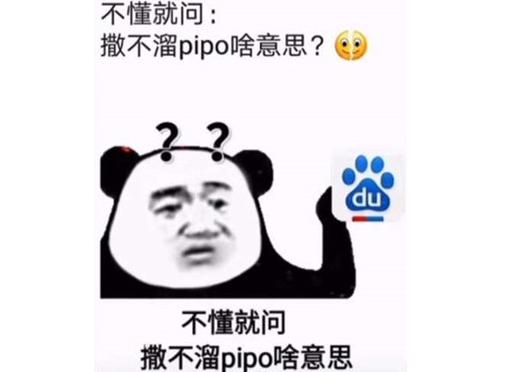 抖音撒不溜pipo啥意思,撒不溜pipo啥意思什么梗