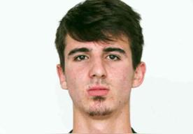 伯纳多·席尔瓦 