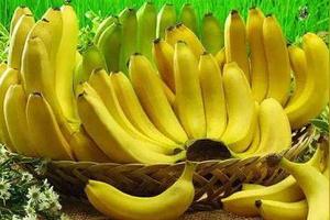 1.5斤香蕉有多少根