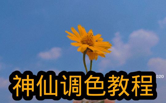 醒图app中的神仙调色教程来啦~一看就会，参数简单易懂