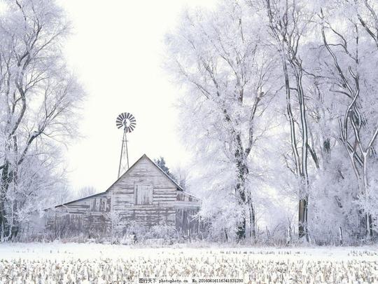 唯美冬季雪景唯美冬季雪景图片素材下载树木下雪房屋冬天