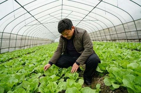 新型农民工的电商创业路
