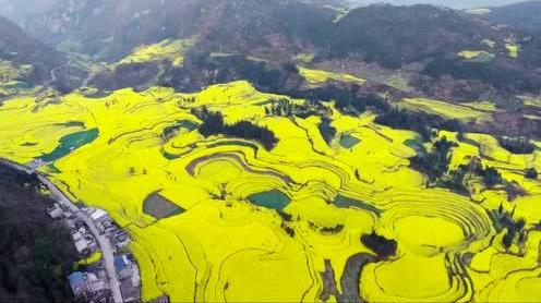 旅行最美中国之云南罗平4k高清航拍视频