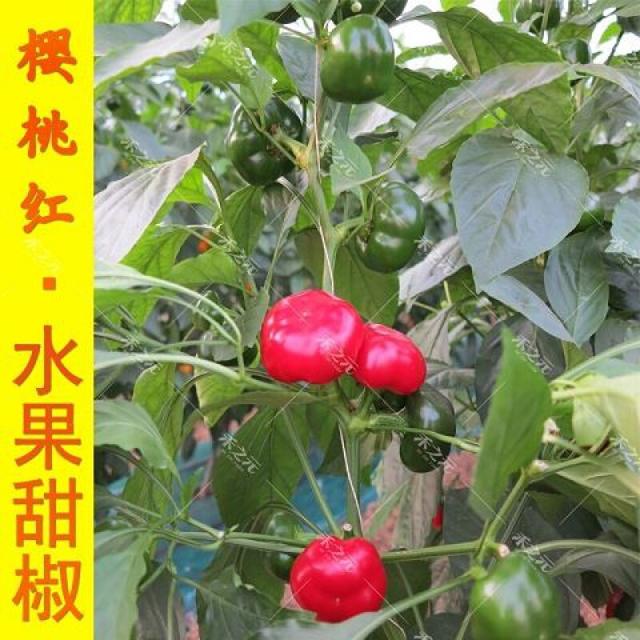 宝宝红屁屁要用什么药