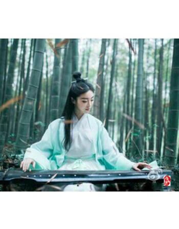 仙女装小龙女嫦娥白色古装女汉服古筝演出服侠女服影楼服装豆青色l