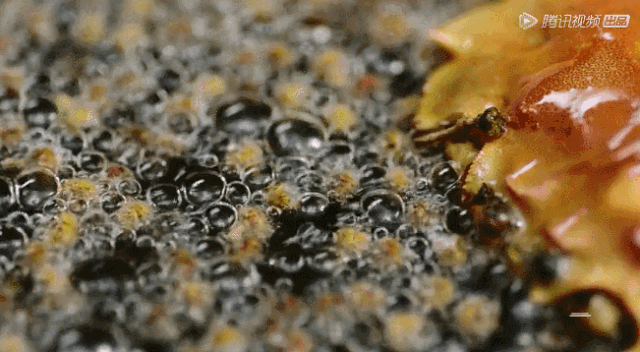 韭菜油角仔的做法