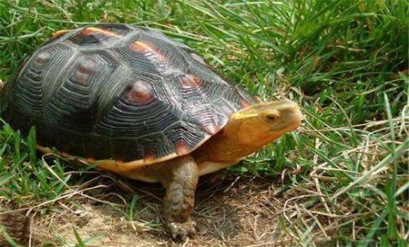 宝宝多大开始容易受到惊吓