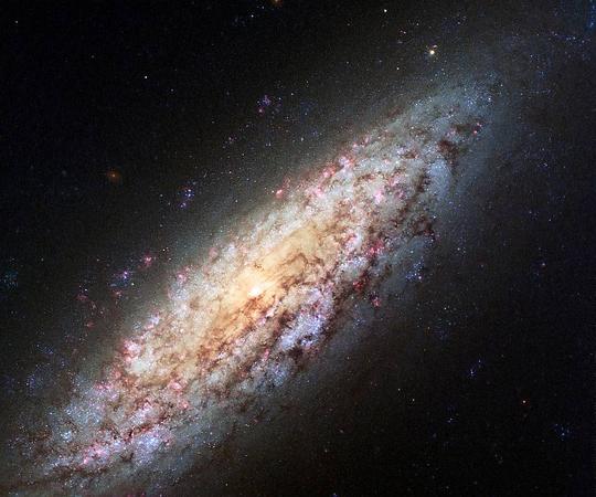 星系,空间,美国宇航局,哈勃,空间,望远镜,ngc,6503,壁纸,