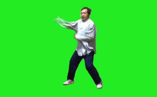 马保国“接化发”教学的绿幕素材