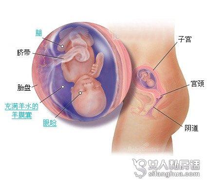 孕期性生活会对胎儿有影响吗