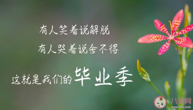 假期结束舍不得孩子的说说