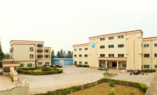 公司介绍