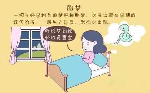 排卵期同房指导