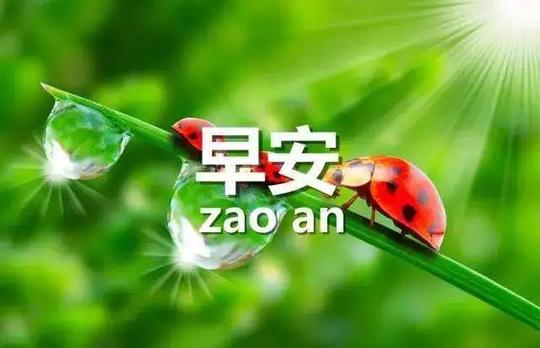 早安语】微商正能量励志素材(配图)第八期