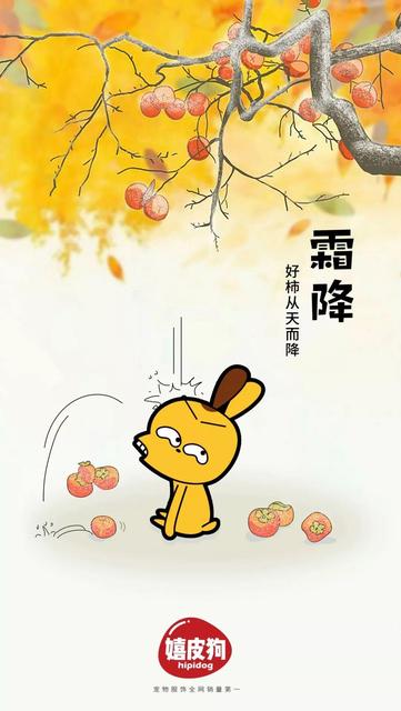 霜降有哪些习俗粤语