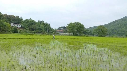 小夫妻大学毕业后用电种田,年收入30万