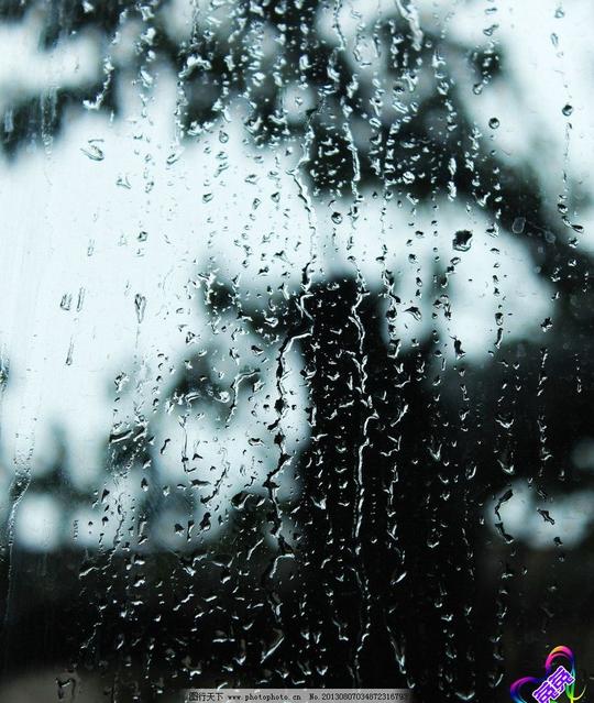 冷雨雨滴下雨窗外雨玻璃雨树自然风景自然景观摄影