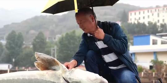 六旬老人做什么小生意(老人靠养殖鲟鱼做鱼子酱发家致富)