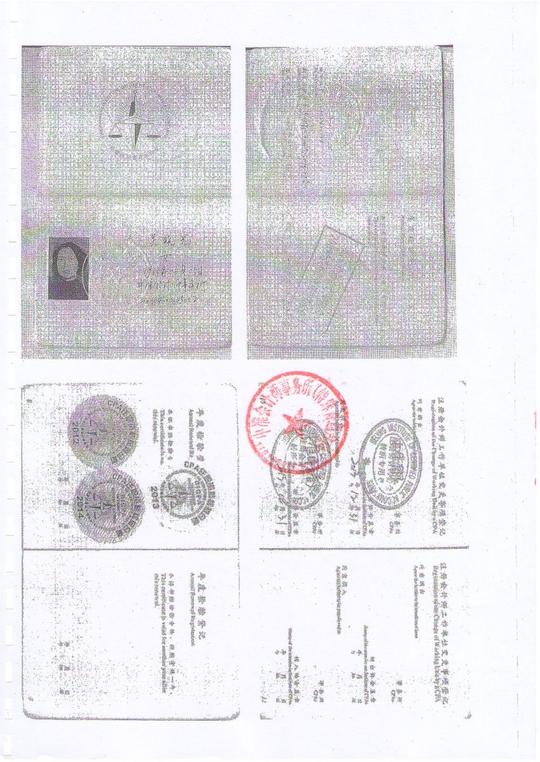 地球站公益创业工程项目审计报告