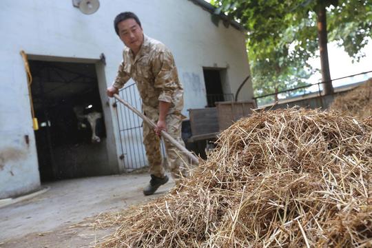 滑县小伙孟胜奇海归创业当"牛倌"_中原三农网|河南网