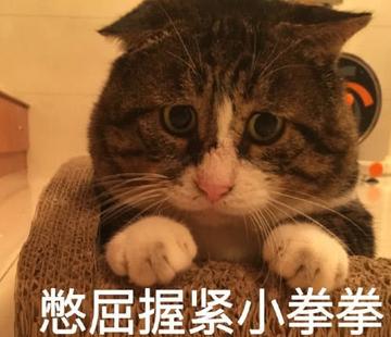 看不我大爽，极度不爽表情包