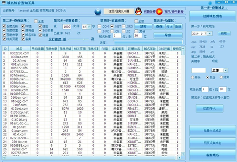 域名查询工具界面