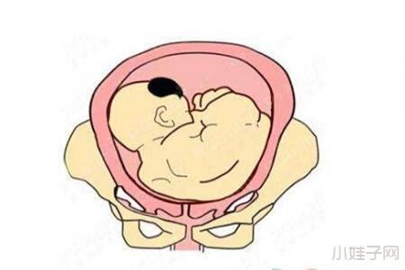 胎头入盆多久才会生啊