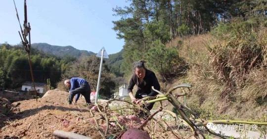 农村俗语"财不进急门,福不进偏门",如何理解?细想还挺