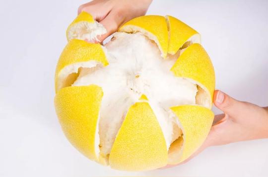 就送剥柚神器帮助你1分钟轻松剥好柚子第一步:划开柚子皮第二步