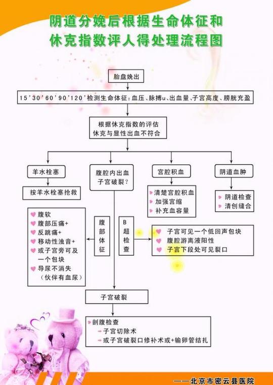 妇产科展板图片