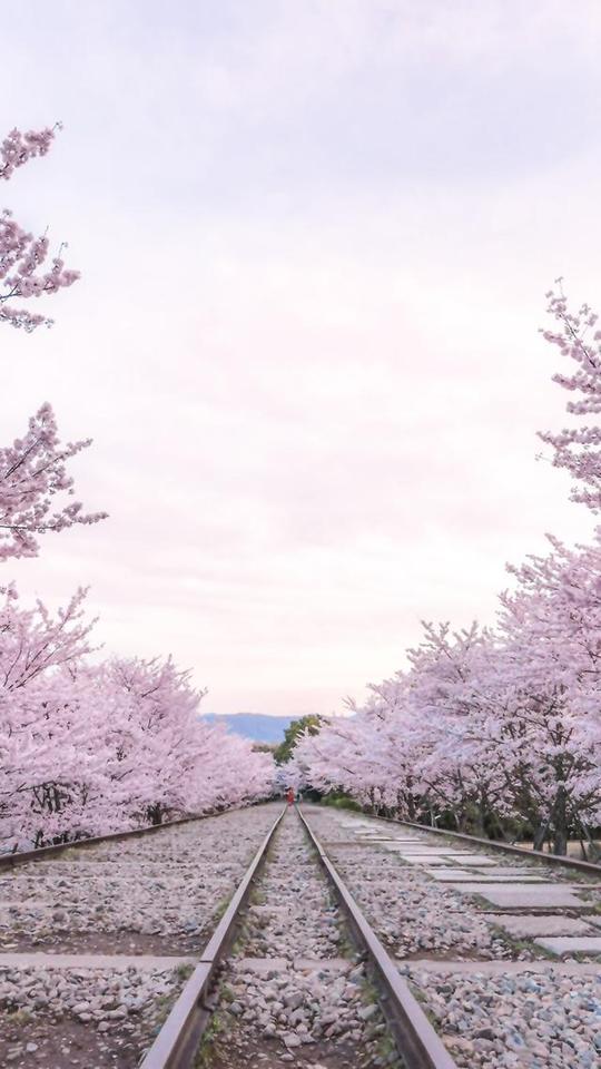 横屏高清手机壁纸风景