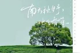 南方秋野，北方春茶(张远)