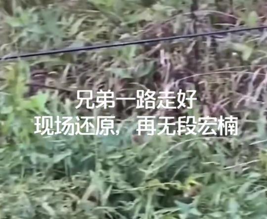 网红宏楠钓鱼时触电身亡，媒体实地探访，池塘上方遍布高压线