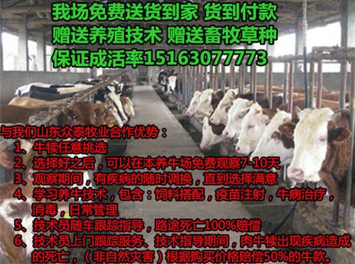 在农村养殖什么赚钱