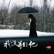 我没等到他(林子琪)